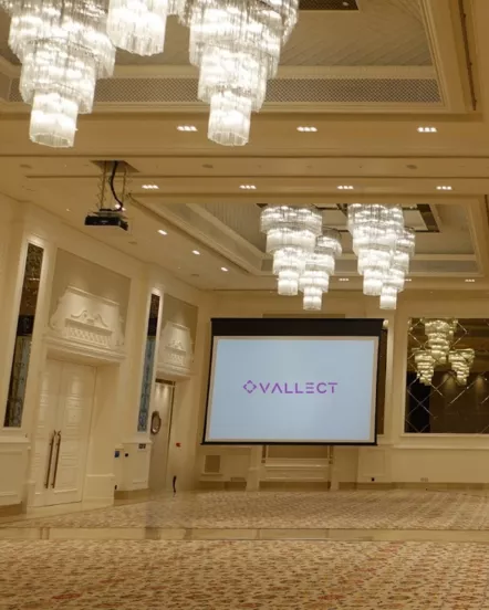 Hospitality AV solution installed in premium residence by Vallect